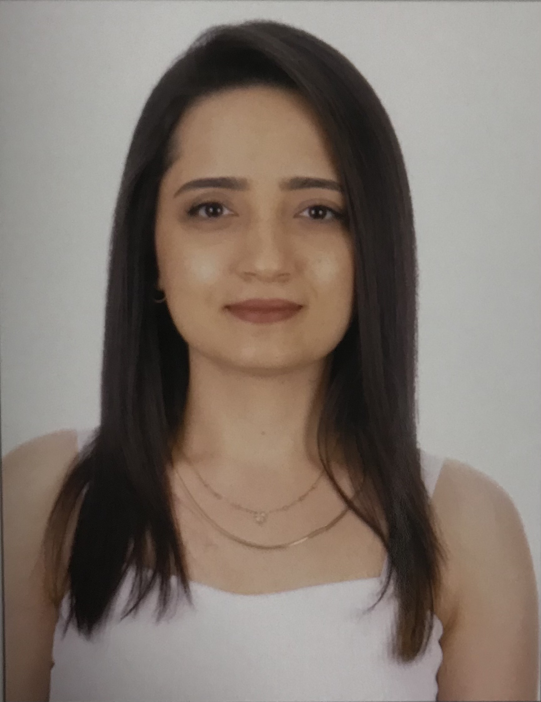 Arş.Gör. Hacer Irem ERTEN KAPLAN