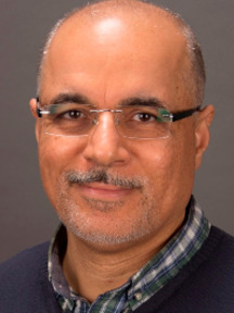 Prof. Dr. Diaa GADELMAVLA