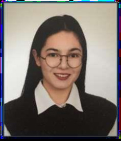 Arş.Gör. Merve ÖZEN