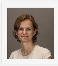 Öğr.Gör. Nilay YENGİL