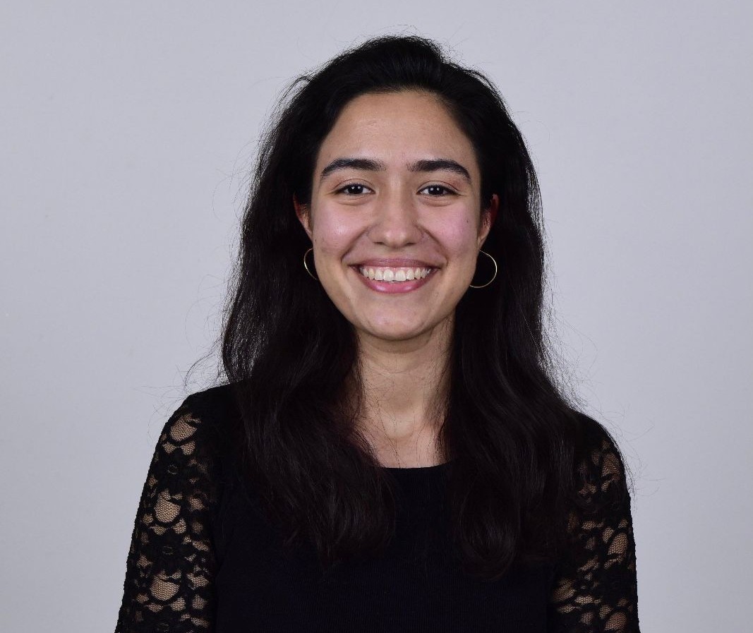 Research Assist. Birce TEDİK KOCAKAYA